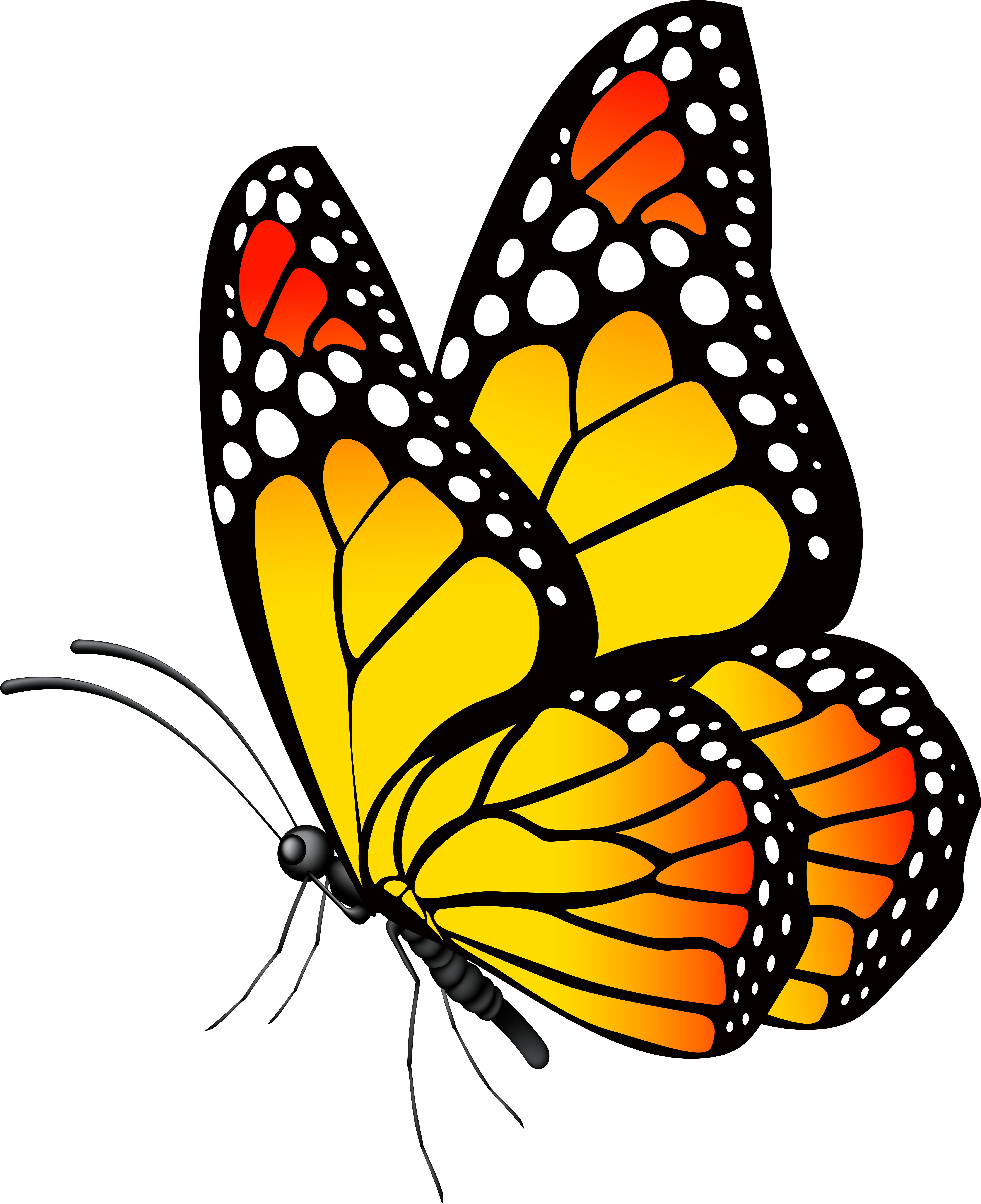 Clipart Butterfly Yellow - Png Download (6521x8000), Png Download