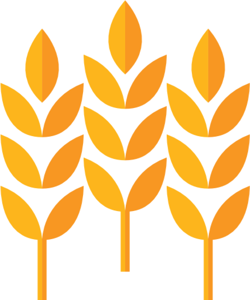 Wheat Icon Png Clipart (960x960), Png Download