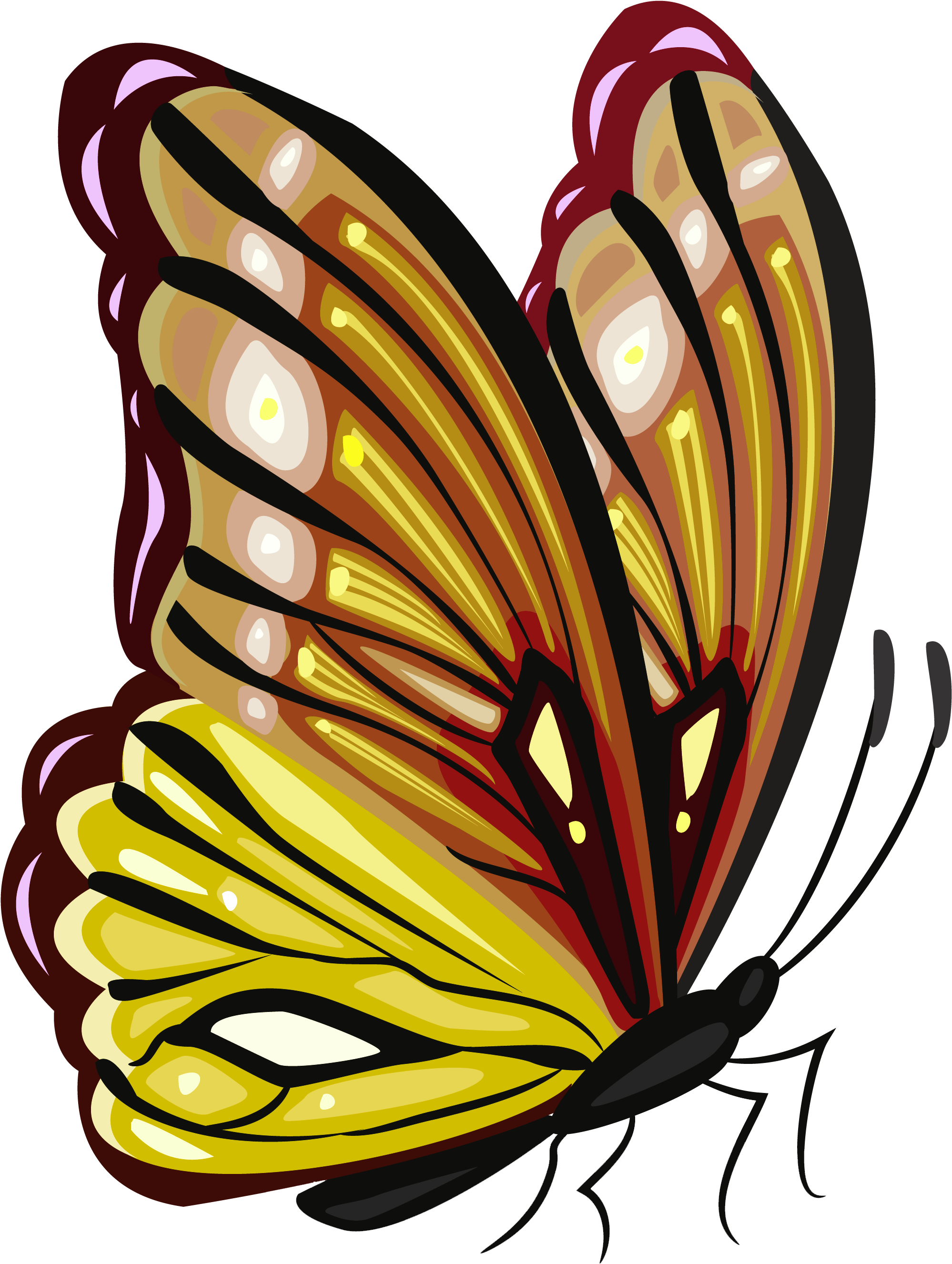 Monarch Butterfly Png - Butterfly Image Yellow Png Clipart (2796x3251), Png Download