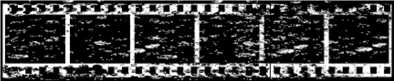 Grunge Film Strip Png - Film Stamp Png Clipart (800x800), Png Download