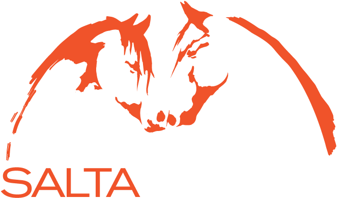 Salta Horses - Horse Clipart (712x435), Png Download