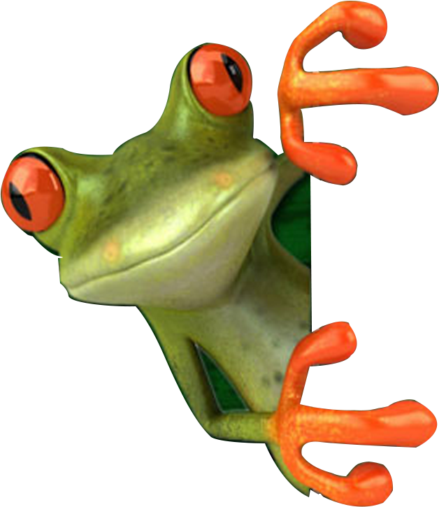 Crazy Frog Png - Red Eyed Tree Frog Png Clipart (628x725), Png Download