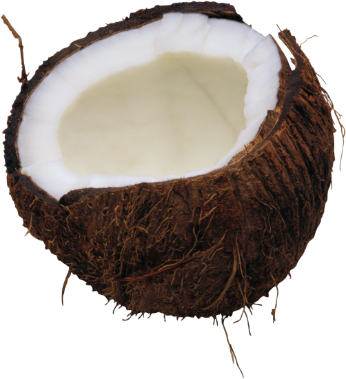 Coconut Png Free Download - Coconut Png Clipart (600x631), Png Download