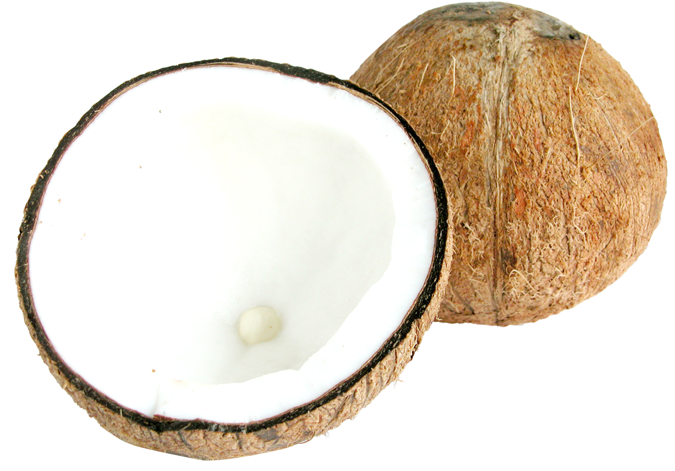 Download Two Half Coconuts Png Image - Half Coconut Png Clipart (1322x942), Png Download