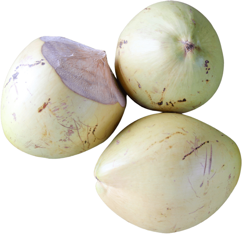 Free Png Top View Of Coconut Png Images Transparent - Coconut Top View Png Clipart (783x758), Png Download