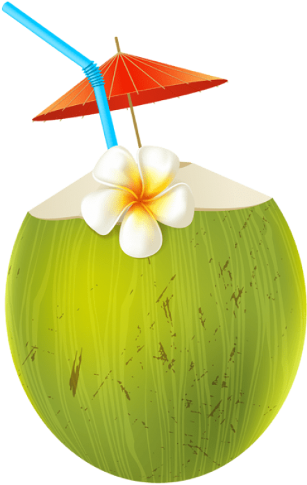 Free Png Download Coconut Coctail Transparent Clipart - Coconut Green Png Cartoon (480x701), Png Download