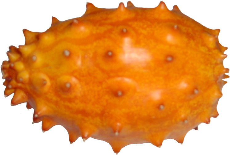 Fruit Kiwano - Fruits Photo Sans Fond Clipart (900x548), Png Download