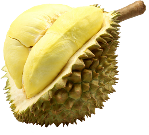 Durian Monthong Fruit Thailand - Durian Thailand Clipart (600x600), Png Download