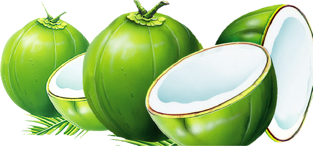 Dodol Coconut Water Nata De Coco Coconut Milk - Coconut Clipart (1000x468), Png Download