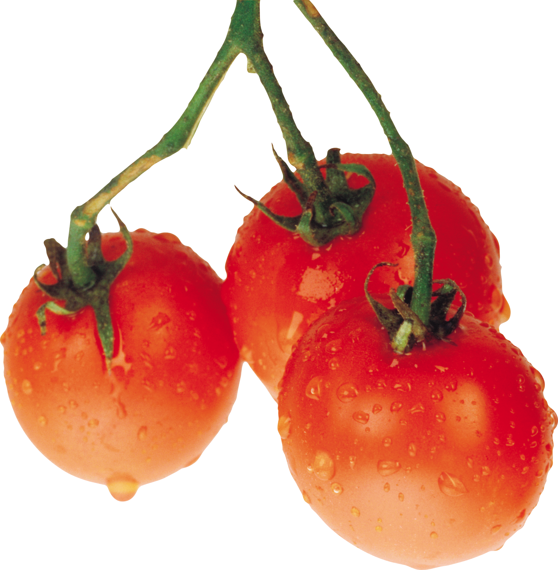 Tomato Png Free Download - Pomidory Clipart (600x613), Png Download