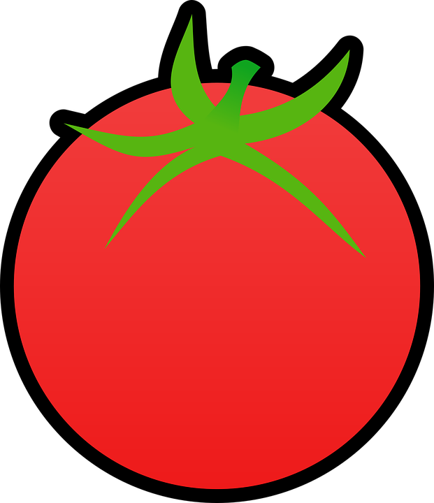 Tomato Png Clipart Tomato Transparent Png Large Size Png Image PikPng