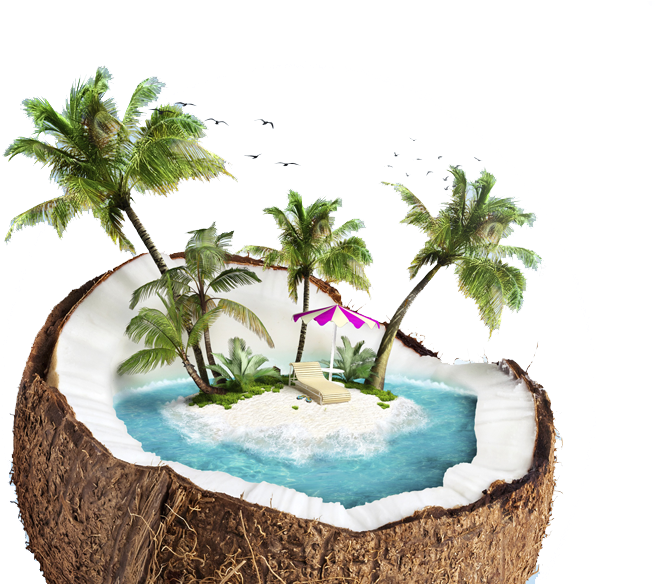 A Beach Inside Of A Coconut - Coconut Beach Png Clipart (774x583), Png Download