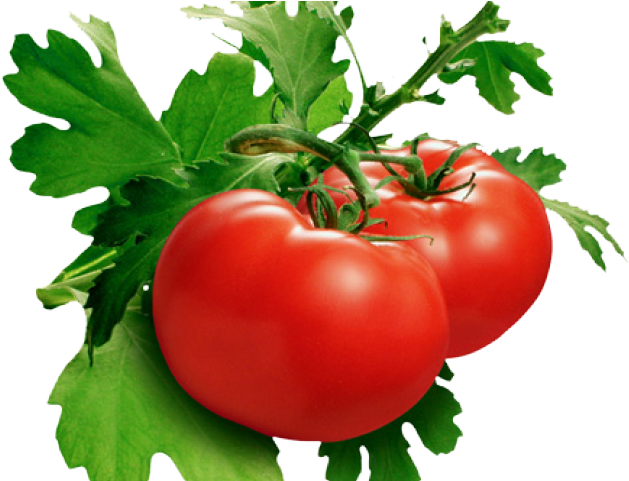 Tomato Png Transparent Images - Domates Png Clipart (640x480), Png Download