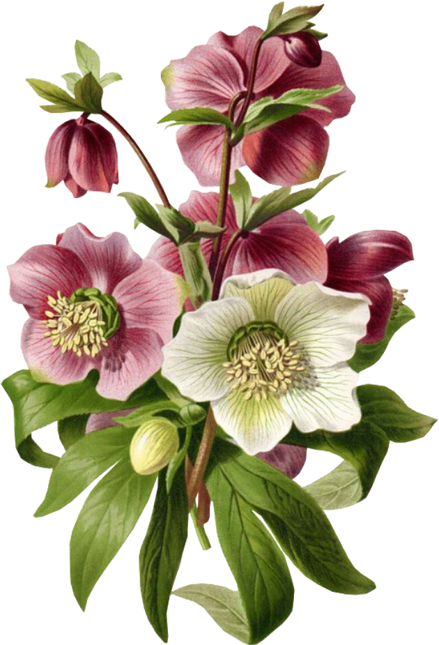 Cute Sticker - Flowers Collage Free Clipart (1024x1024), Png Download