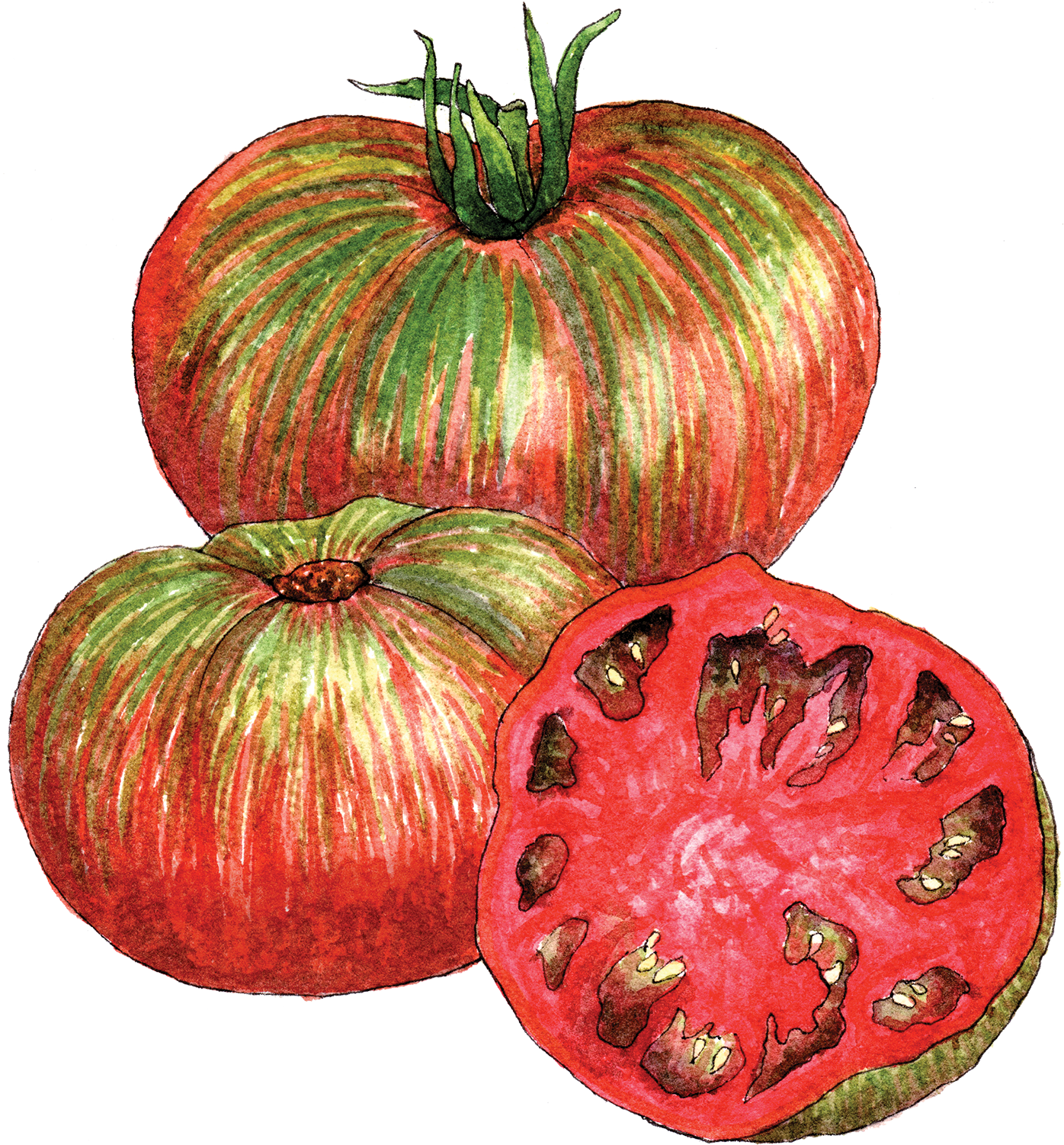 Pink Berkeley Tie Dye Tomato Clipart (1395x1518), Png Download