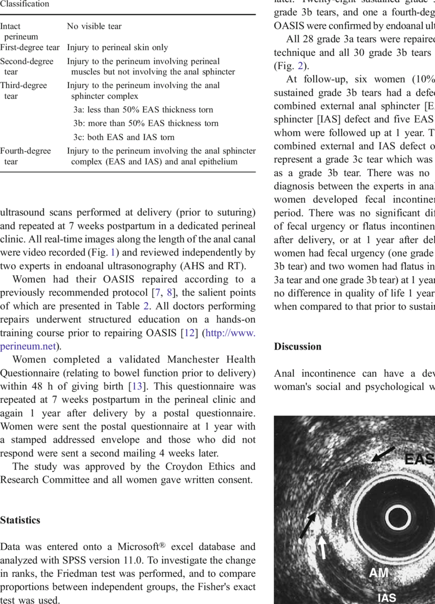 Classification Of Perineal Tears - Text Page - Holy Land - The Necropolis Clipart (850x1180), Png Download