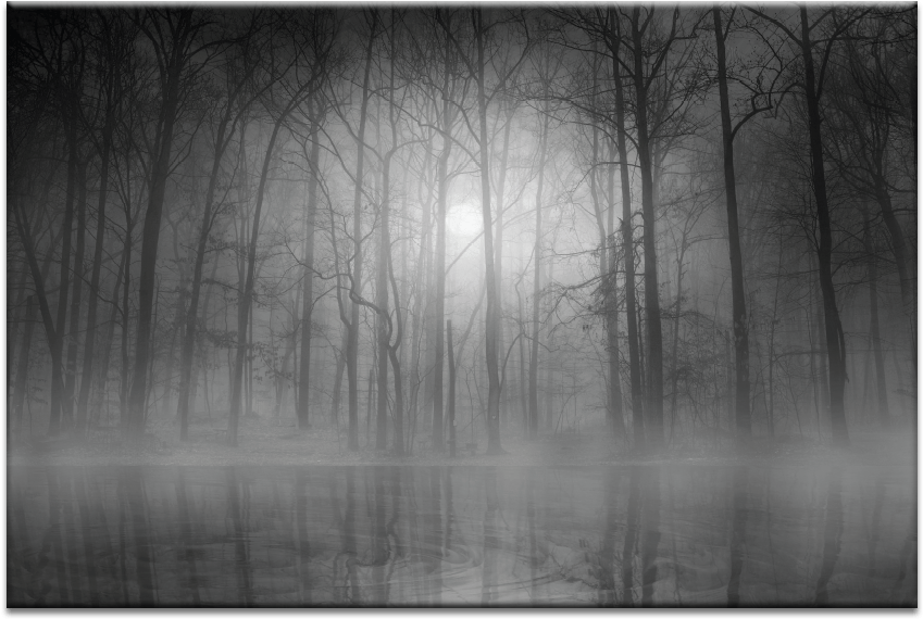 Morning Mist - Mist Clipart (900x900), Png Download