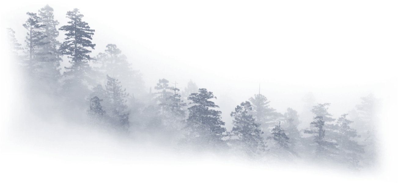 Mountain Chinese Wash Forest Ink Painting Fengshui - Chinese Landscape In Fog Clipart (1400x1000), Png Download