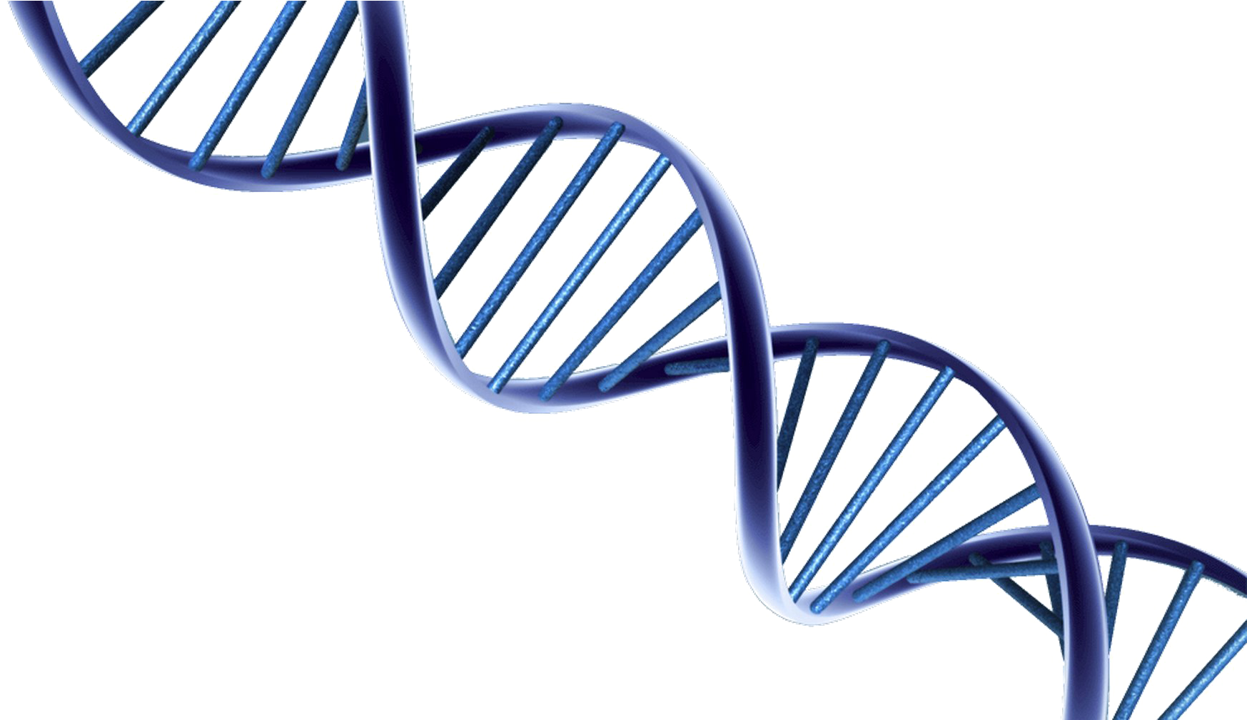 Dna Png Photo - Dna Png Clipart (1762x1008), Png Download