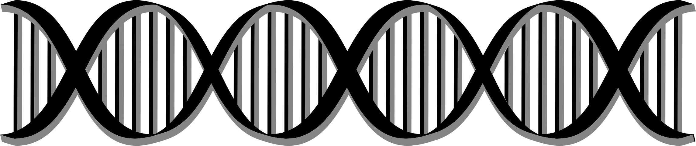 Dna Png - Dna Helix Black And White Clipart (2290x480), Png Download