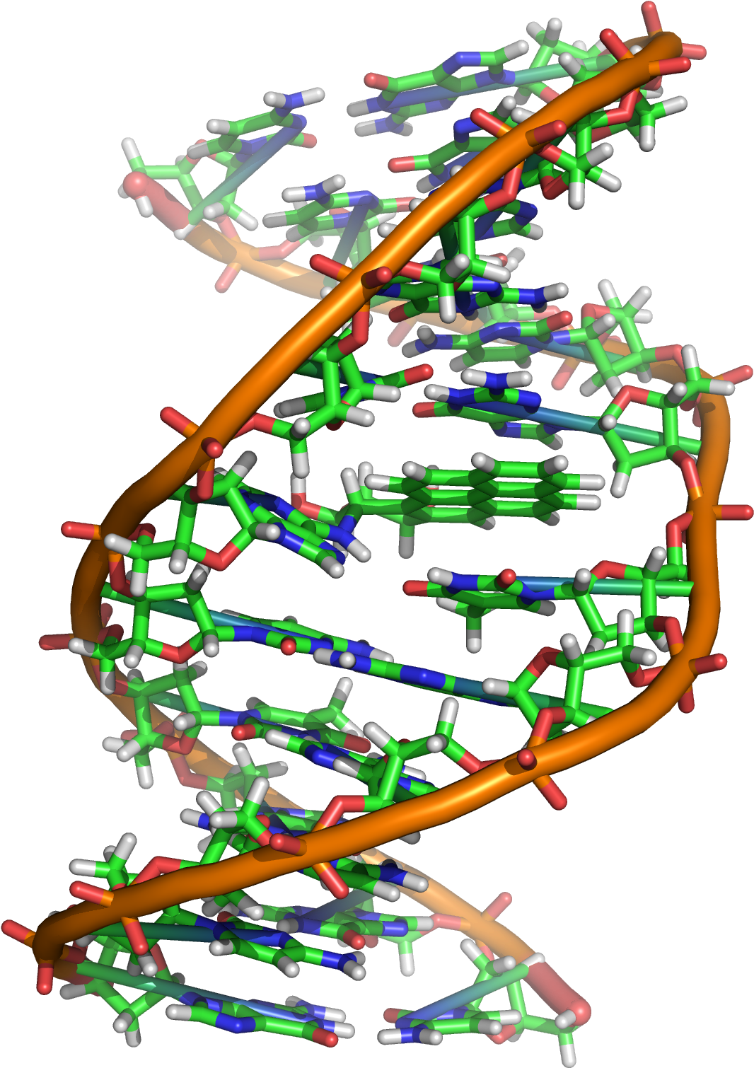 Benzopyrene Dna Adduct 1jdg - Benzo A Pyrene Dna Clipart (1131x1566), Png Download
