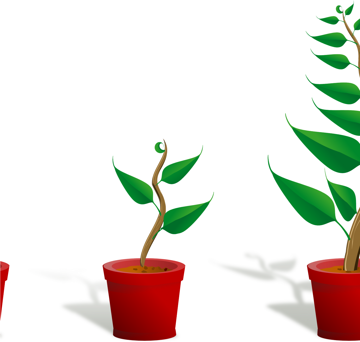 Flower Plant Clipart Plant 2 Growing 4444pxpng, Cute - Getting To Know Plants Transparent Png (1501x1426), Png Download
