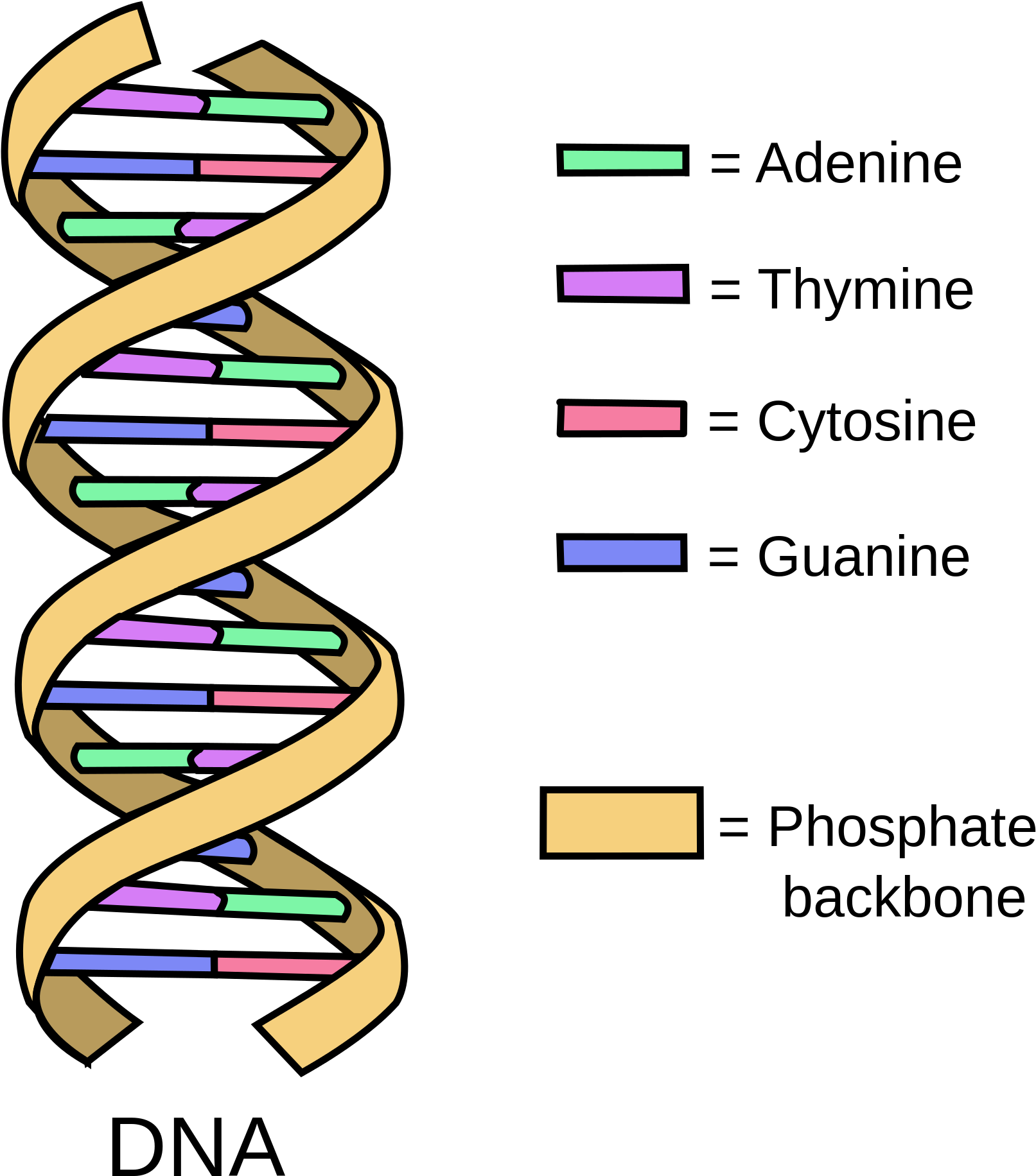 2000 X 2110 6 - Normal Dna Italian Dna Clipart (2000x2110), Png Download