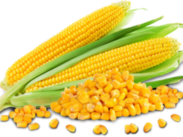 Go Foods Pictures Corn Clipart (640x480), Png Download