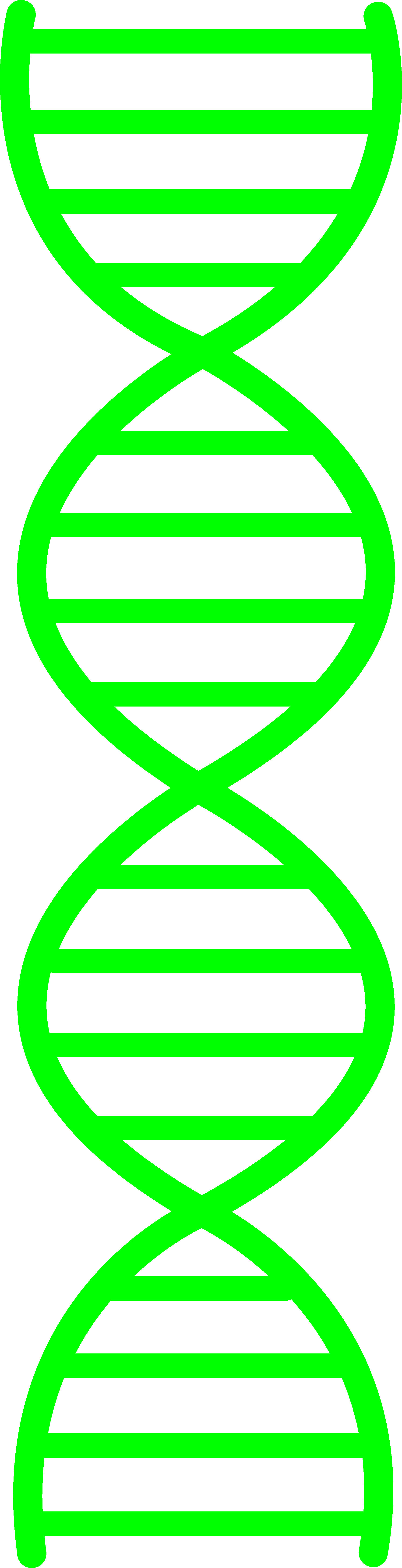 Green Dna Design - Dna Grey Clipart (1722x6709), Png Download