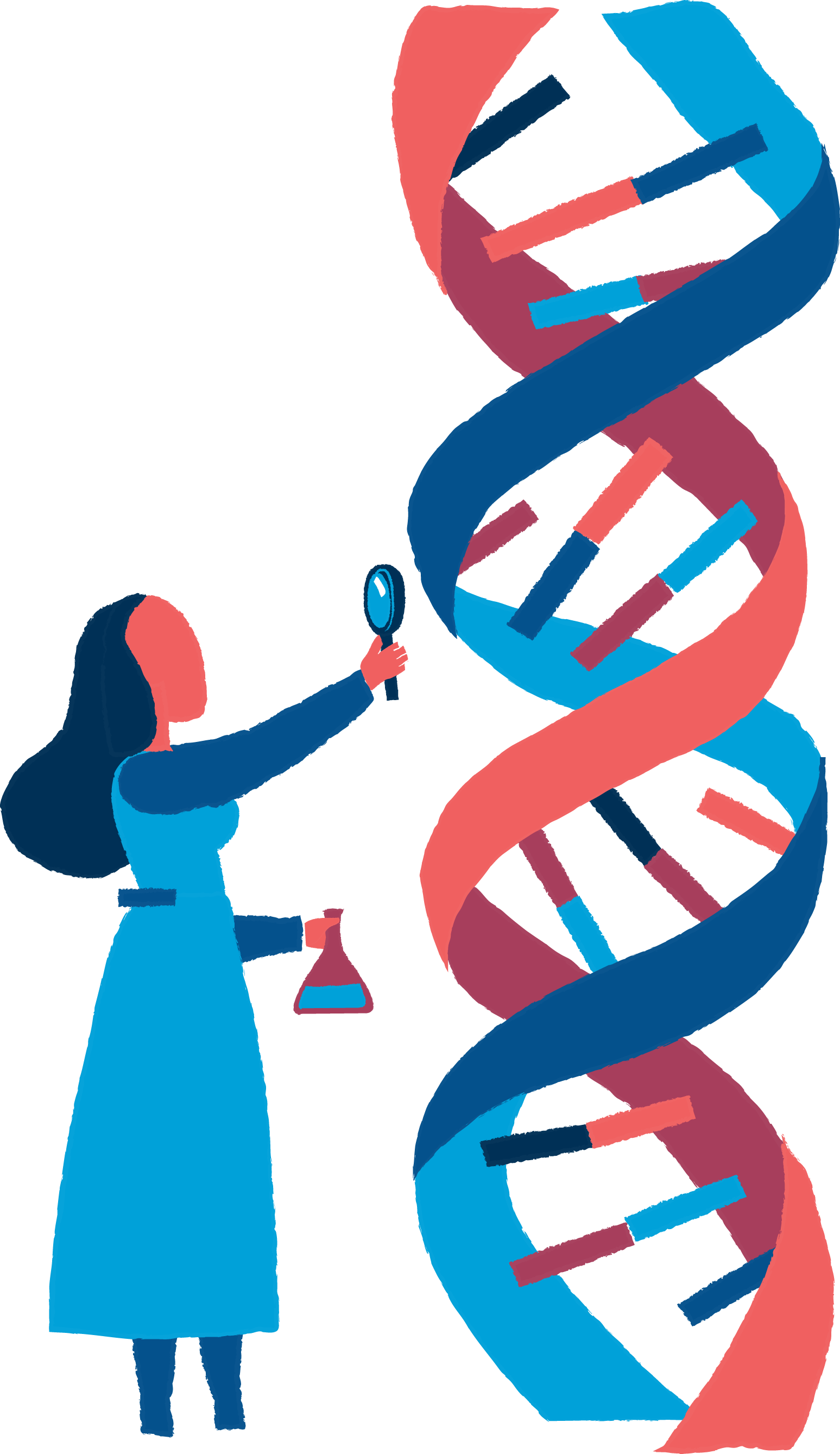 Science Euclidean Vector Biology Dna - Biology Dna Png Clipart (1547x2677), Png Download