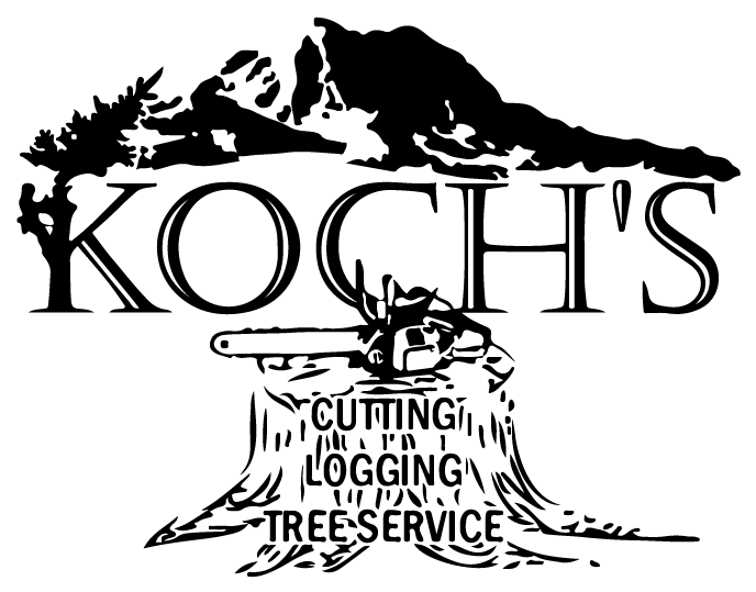 Home - Illustration Clipart (688x539), Png Download