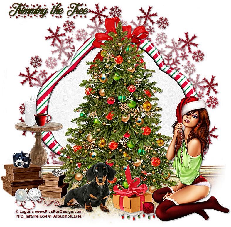 Trimming The Tree - Christmas Tree Clipart (800x800), Png Download