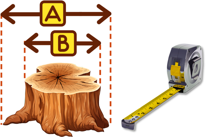 Grind Width - Cut Tree Trunk Clipart - Png Download (716x480), Png Download