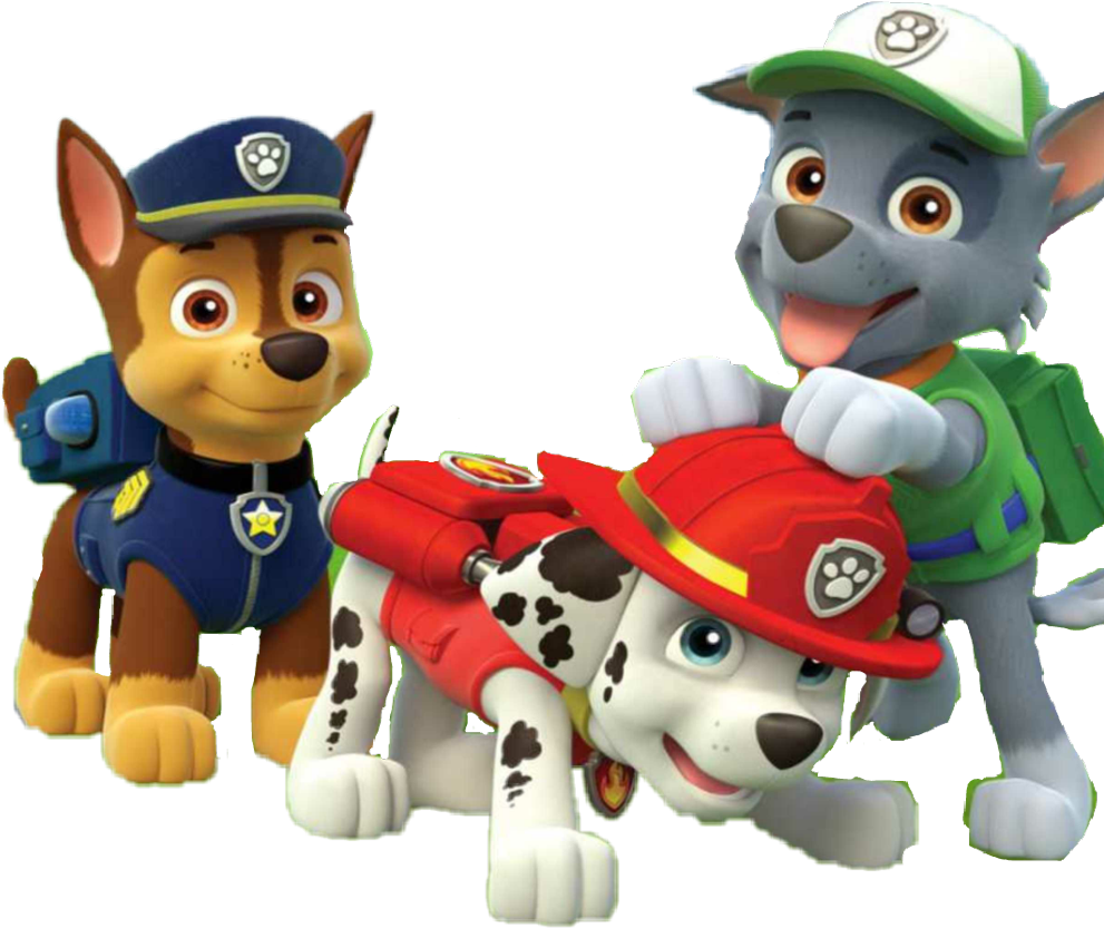 Rocky - PAW Patrol by KingLionelLionheart on deviantART  Patrulla canina  dibujos, Imagenes patrulla canina, Pegatinas de la patrulla canina