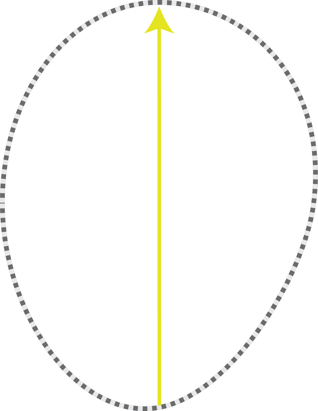 West Prototype - Vector Graphics Clipart (1117x1441), Png Download