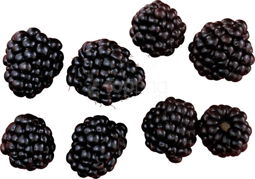 Download Blackberry Png Images Background - Blackberry Png Clipart (850x597), Png Download
