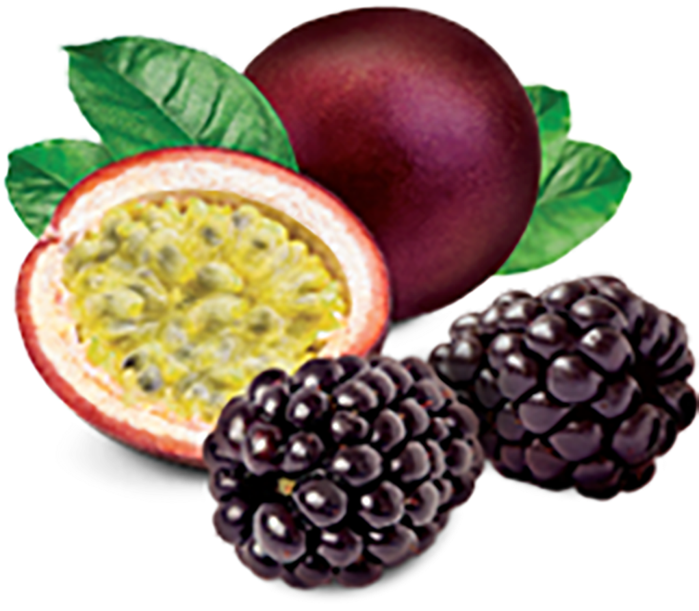 Blackberry Passion Fruit Tart - Blackberry Passionfruit Clipart (1024x1024), Png Download
