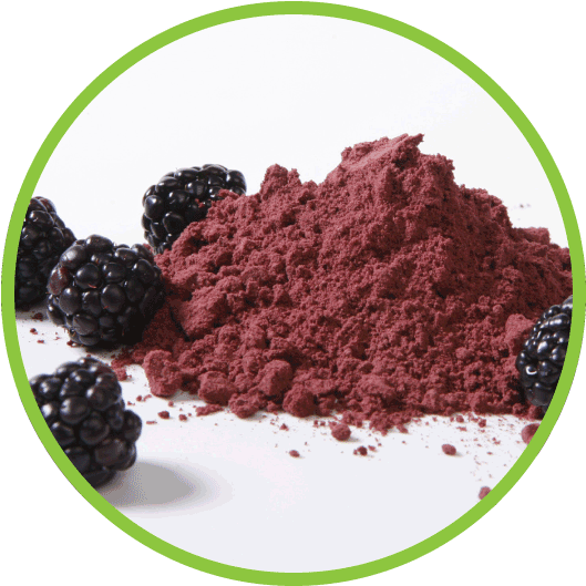 Blackberry - Powdered Vegetables Clipart (562x562), Png Download