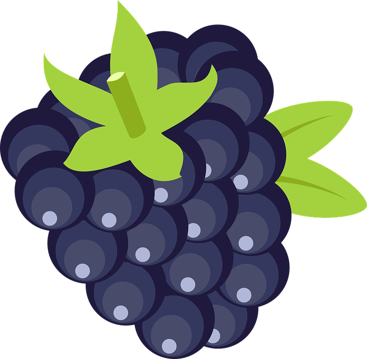 Blackberry Clipart Blue Fruit - Seedless Fruit - Png Download (736x720), Png Download