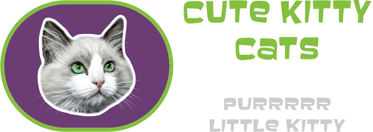 Cute Kitty Cats - Domestic Short-haired Cat Clipart (1200x426), Png Download