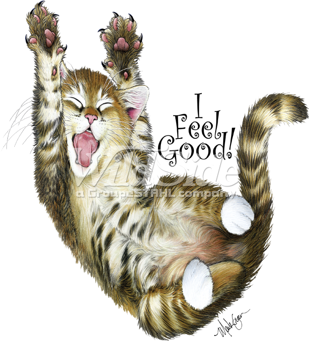 I Feel Good Kitty - Cat Yawns Clipart (709x709), Png Download