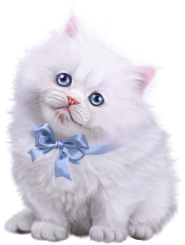 #kitty #kitten #cat #cute #white #ribbon #blue #ftestickers - Kitten Clipart (500x500), Png Download