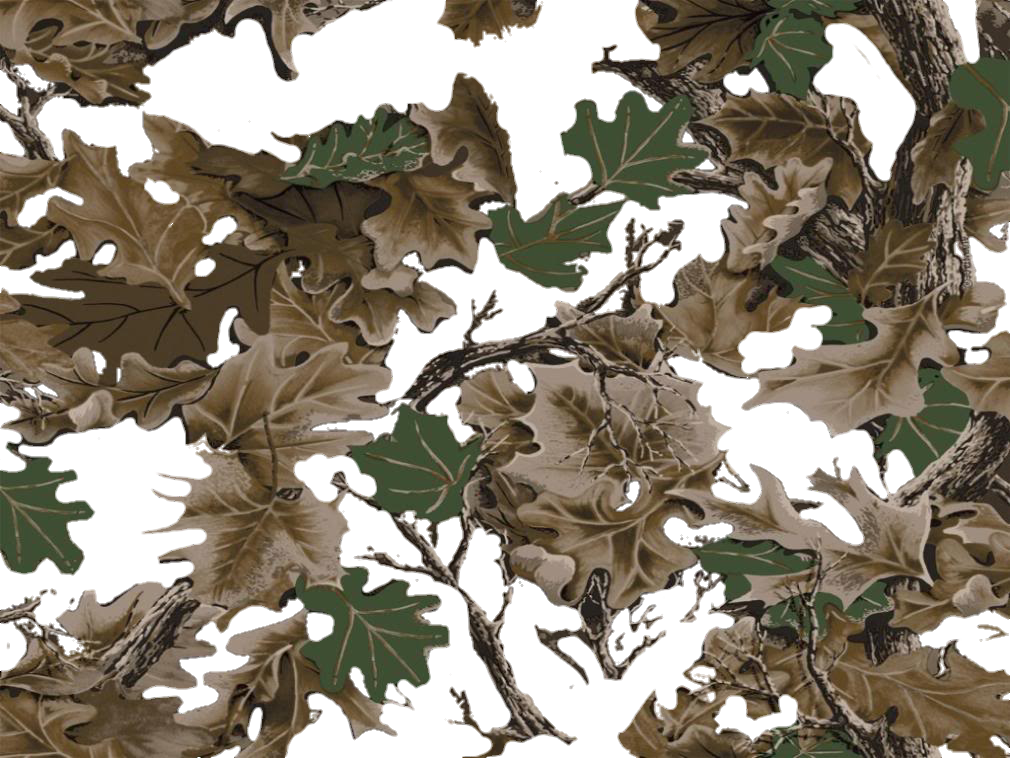 Camo Sticker - White Oak Clipart (1010x758), Png Download