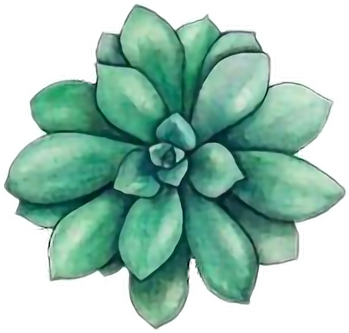 Cactus Png Tumblr - Succulents Drawing Clipart (700x668), Png Download