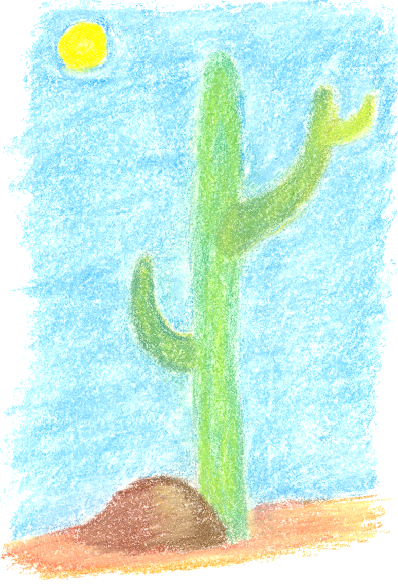 Cactus - Illustration Clipart (785x1150), Png Download