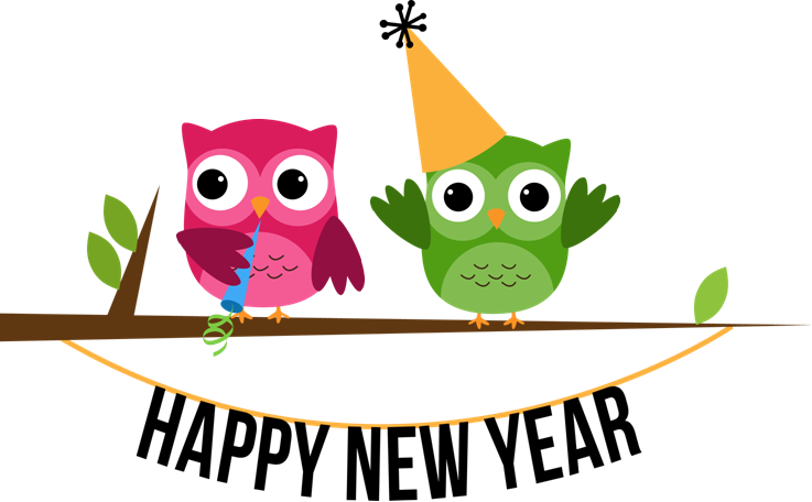I Always Try To Set Some Goals At The Beginning Of - Happy New Year Owl Clipart - Png Download (737x456), Png Download