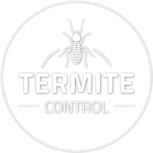 Termite Inspection - Spider Clipart (560x560), Png Download
