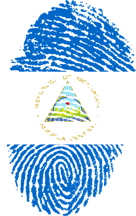 Nicaragua Flag Fingerprint Country Pride Identity - Uae Flag Fingerprint Clipart (455x720), Png Download