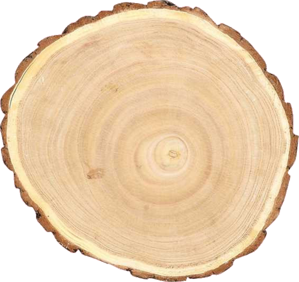 Round Paulownia Wood Slice - Wood Slice Png Clipart (600x566), Png Download