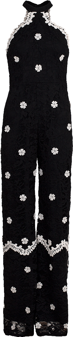 Alexis Kyla Floral Lace Jumpsuit - Polka Dot Clipart (960x1223), Png Download